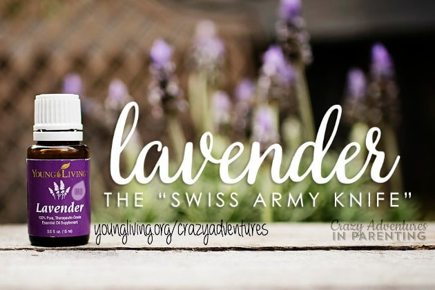 Swiss army knife lavender essential oil