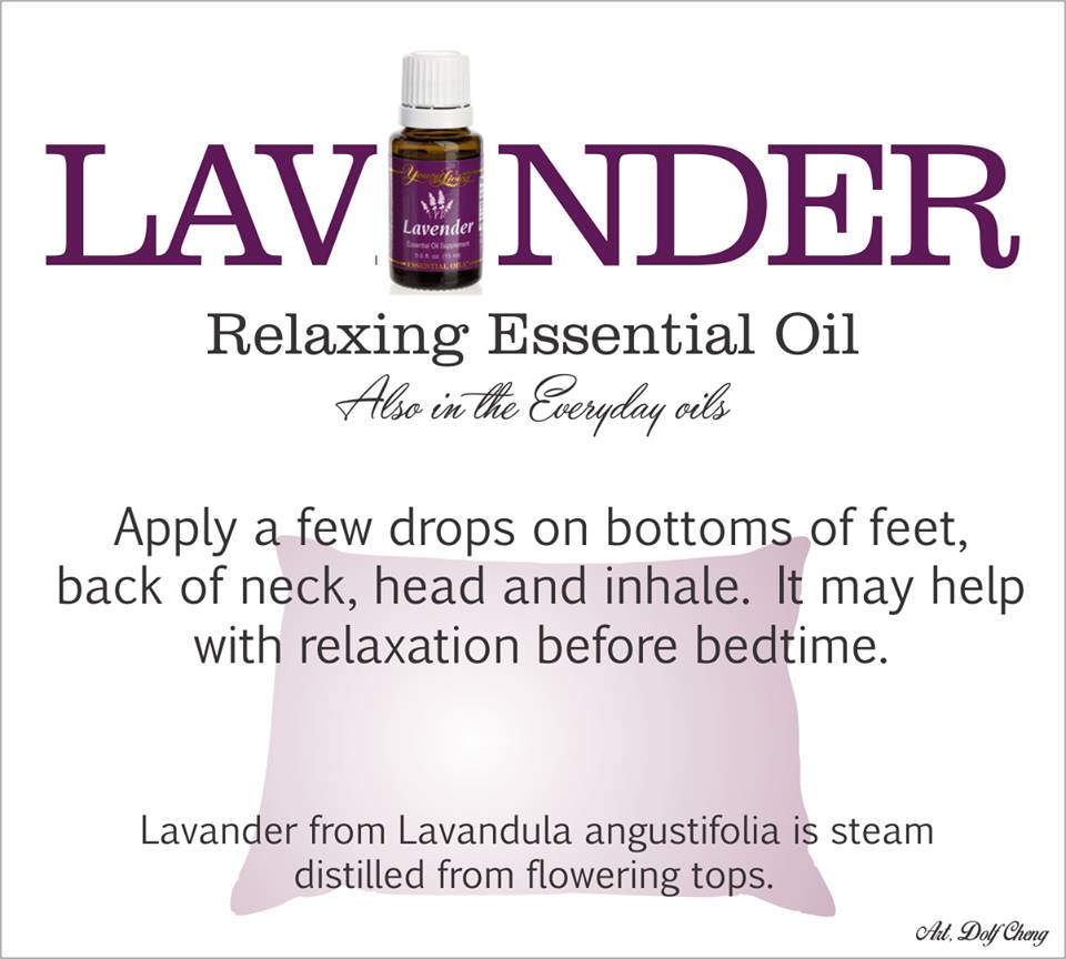 lavender oil