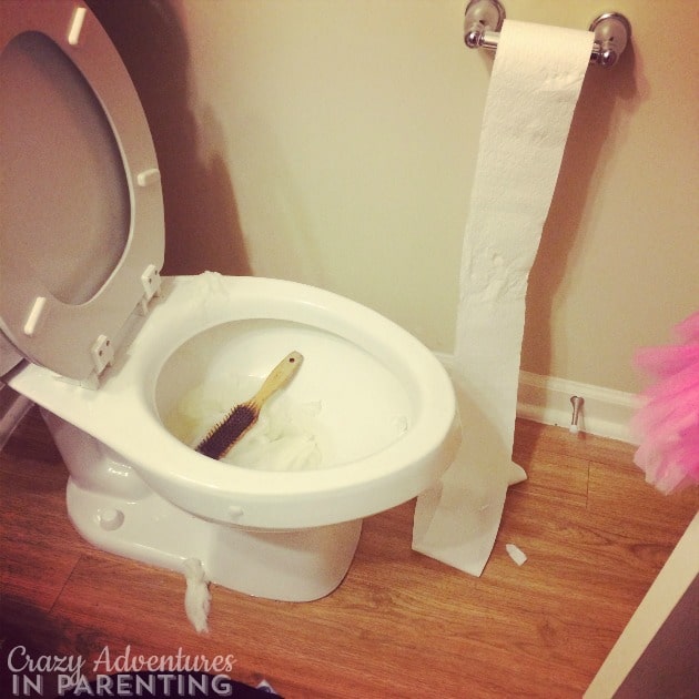 brush in the toilet