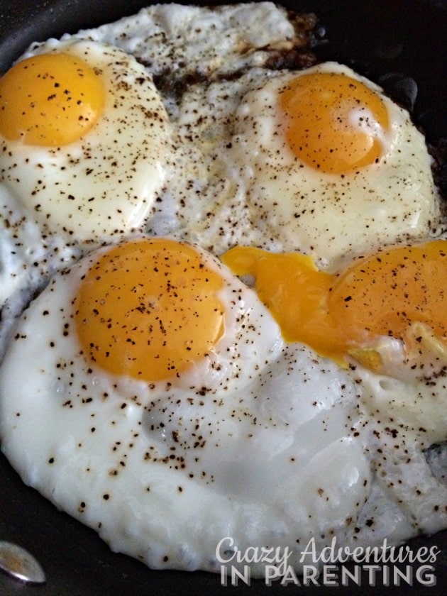 eggs