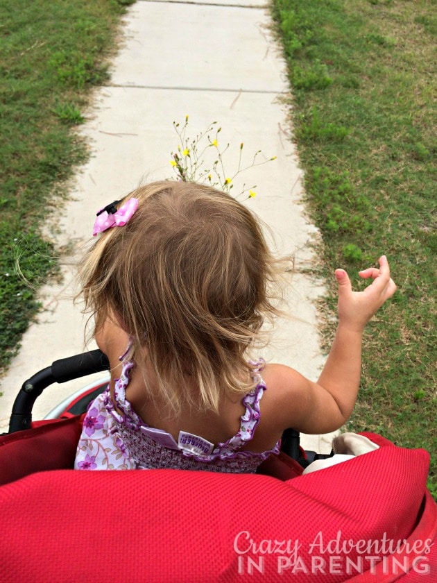 flower picking