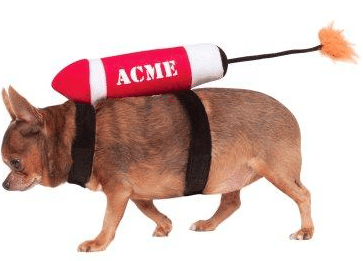 Acme dog costume
