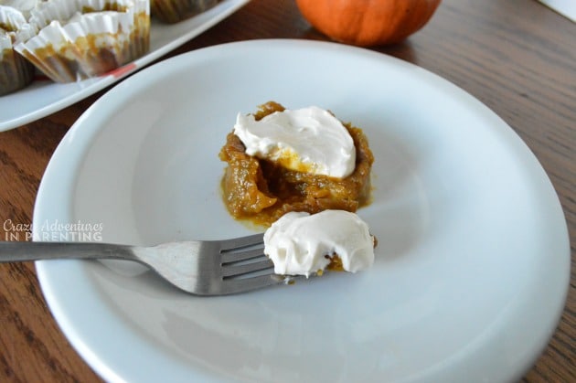 Pumpkin pie cupcakes plated close-up