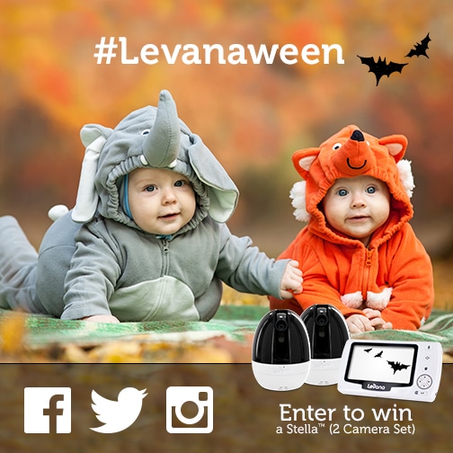 levanaween contest