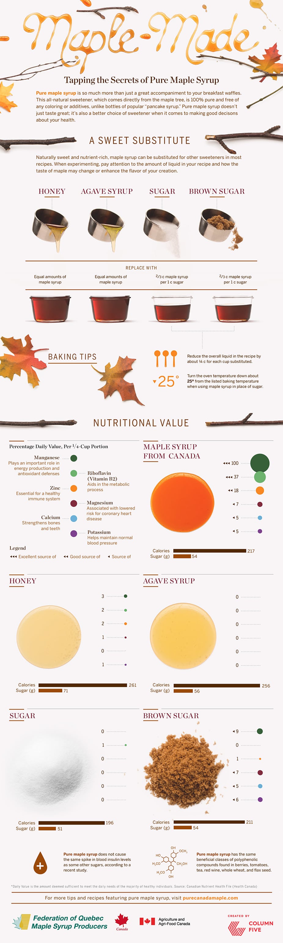 maple sugar alternative infographic