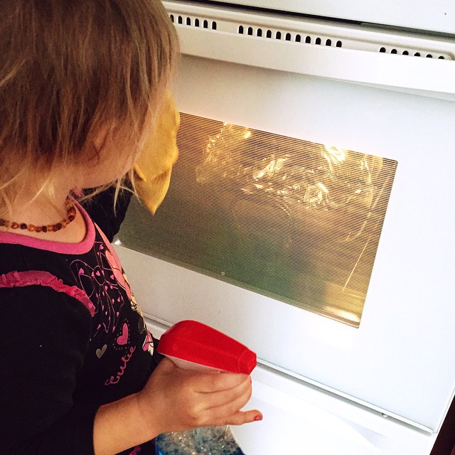 Thanksgiving oven cleaner