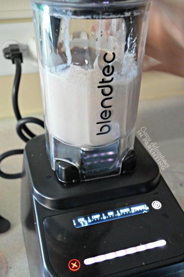 Blendtec Cookie Milkshake