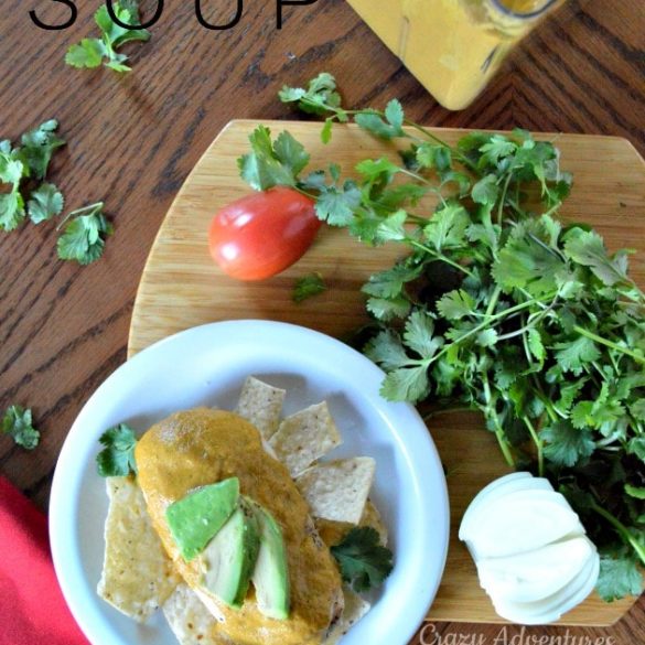 Deconstructed Chicken Tortilla Soup