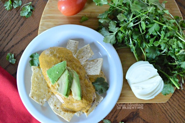 Deconstructed Chicken Tortilla Soup in the Blendtec