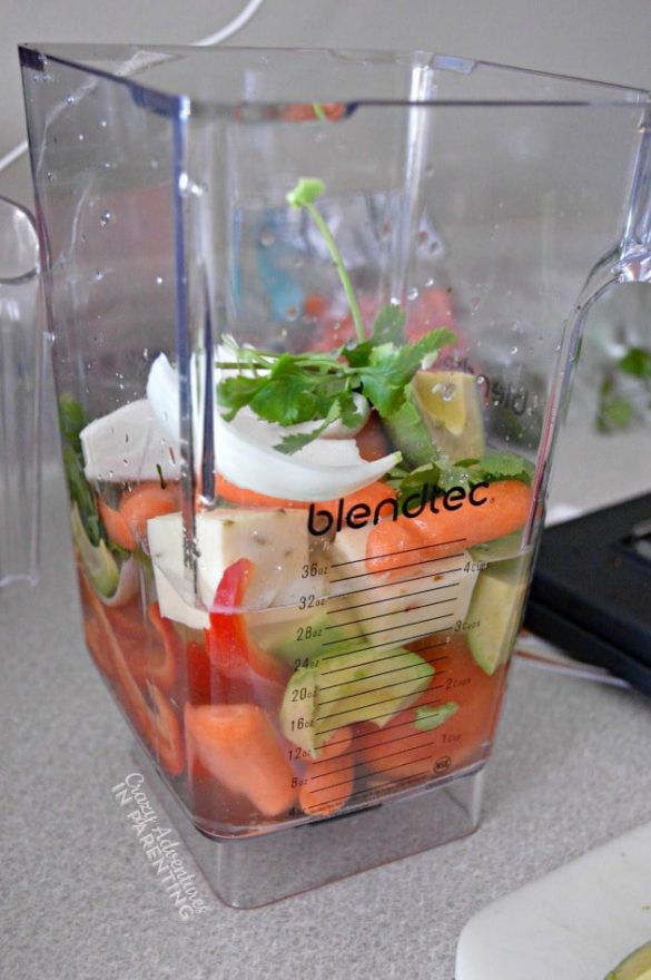 I Made a Whole Dinner (+ Appetizer & Dessert) in My Blendtec!