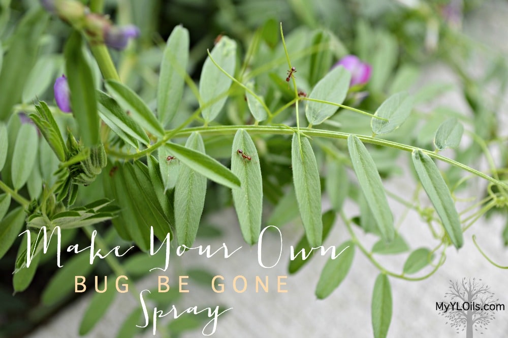 Make your own Bug Be Gone spray with Young Living essential oils - non-toxic bug spray