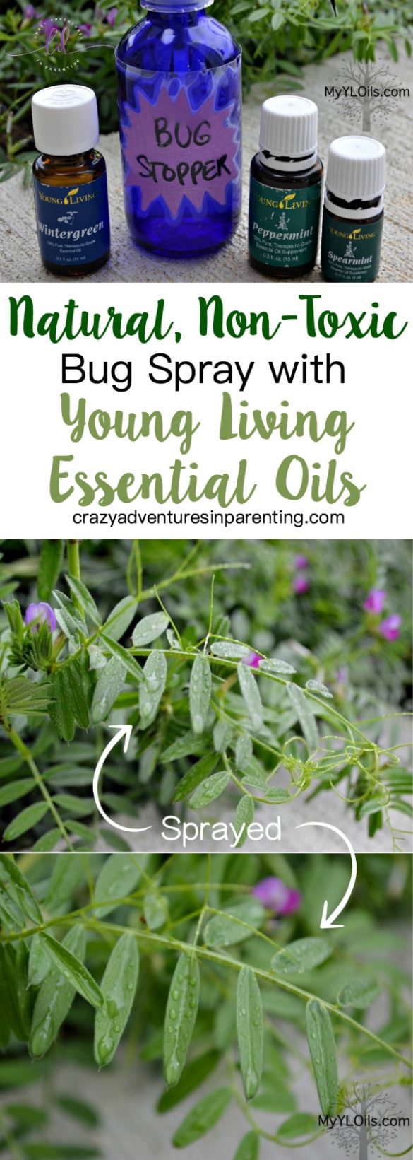 Natural, NonToxic Bug Spray with Young Living Essential Oils