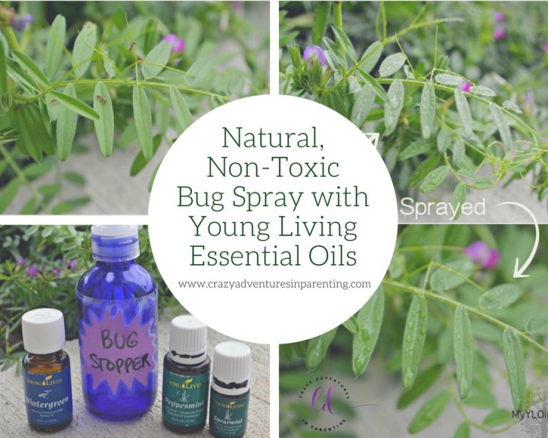 Download Natural, Non-Toxic Bug Spray with Young Living Essential Oils