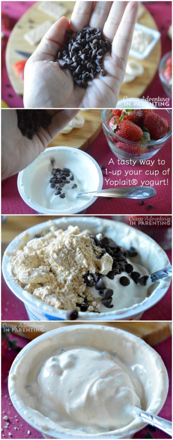 ProteinPacked Peanut Butter Chocolate Chip Yogurt Spread or Dip
