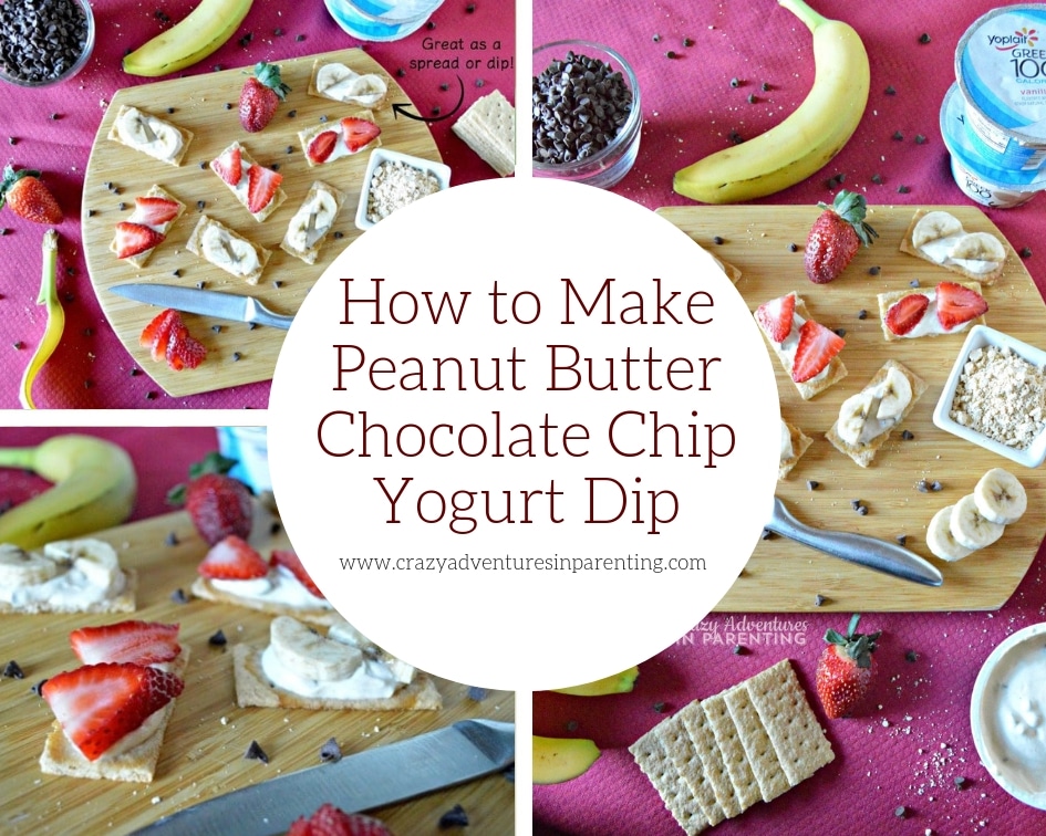 How to Make Peanut Butter Chocolate Chip Yogurt Spread or Dip