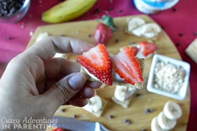 Peanut Butter Chocolate Chip Yogurt Spread with fruit ready to eat