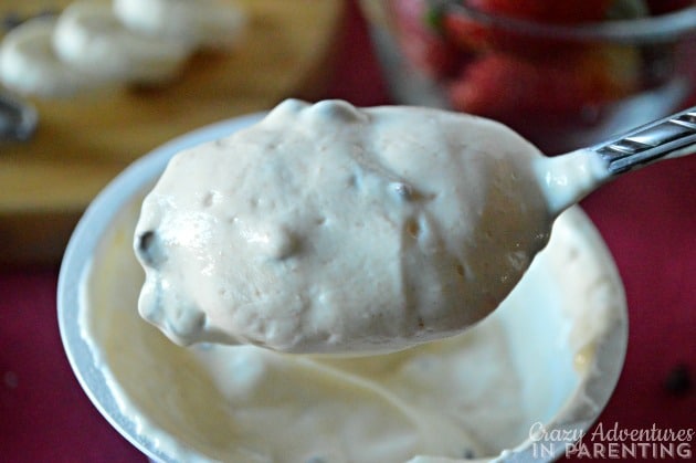 Peanut Butter Chocolate Chip Yogurt in the yogurt cup