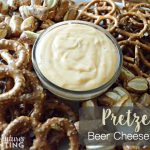 Pretzel Beer Cheese Dip recipe Pretzel Beer Cheese Dip recipe