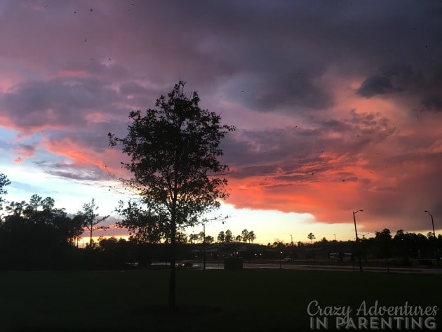 gorgeous colorful night sky