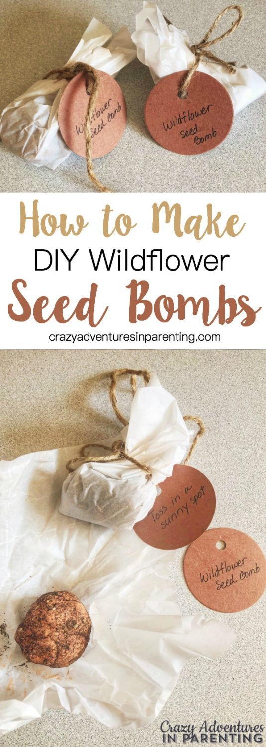 Wildflower Seed Bomb Tutorial Crazy Adventures in Parenting