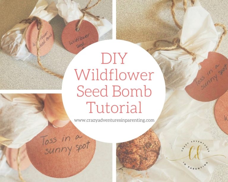Wildflower Seed Bomb Tutorial Crazy Adventures in Parenting