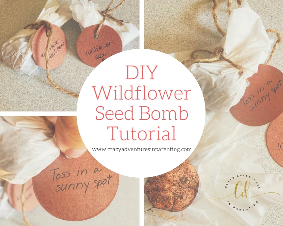 Wildflower Seed Bomb Tutorial