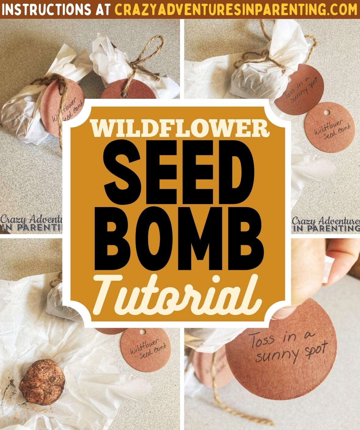 Wildflower Seed Bomb Tutorial Crazy Adventures in Parenting