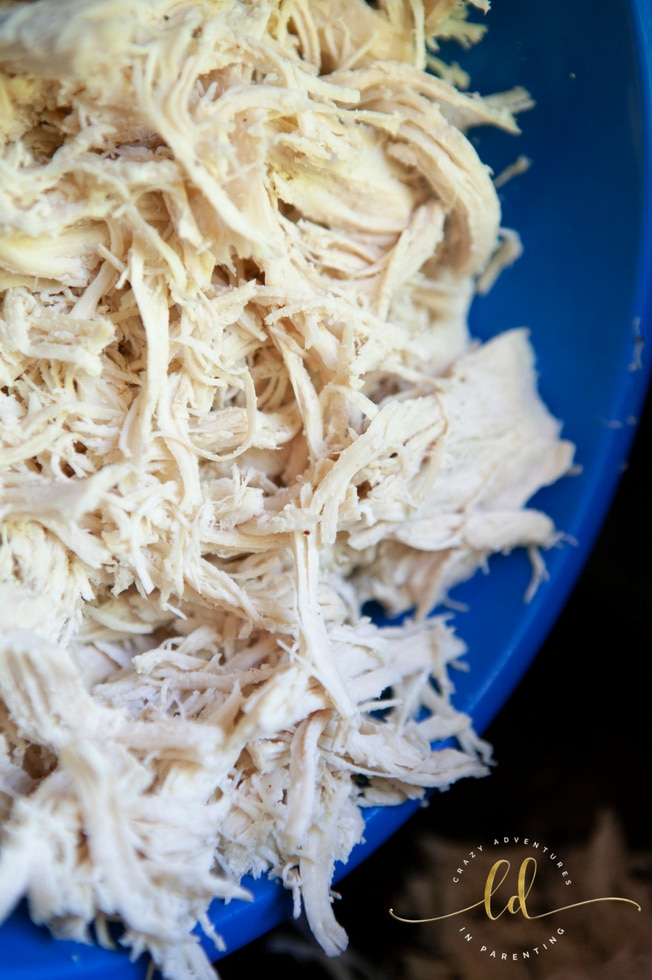 Instant Pot Pulled Barbecue Chicken - shredded chicken