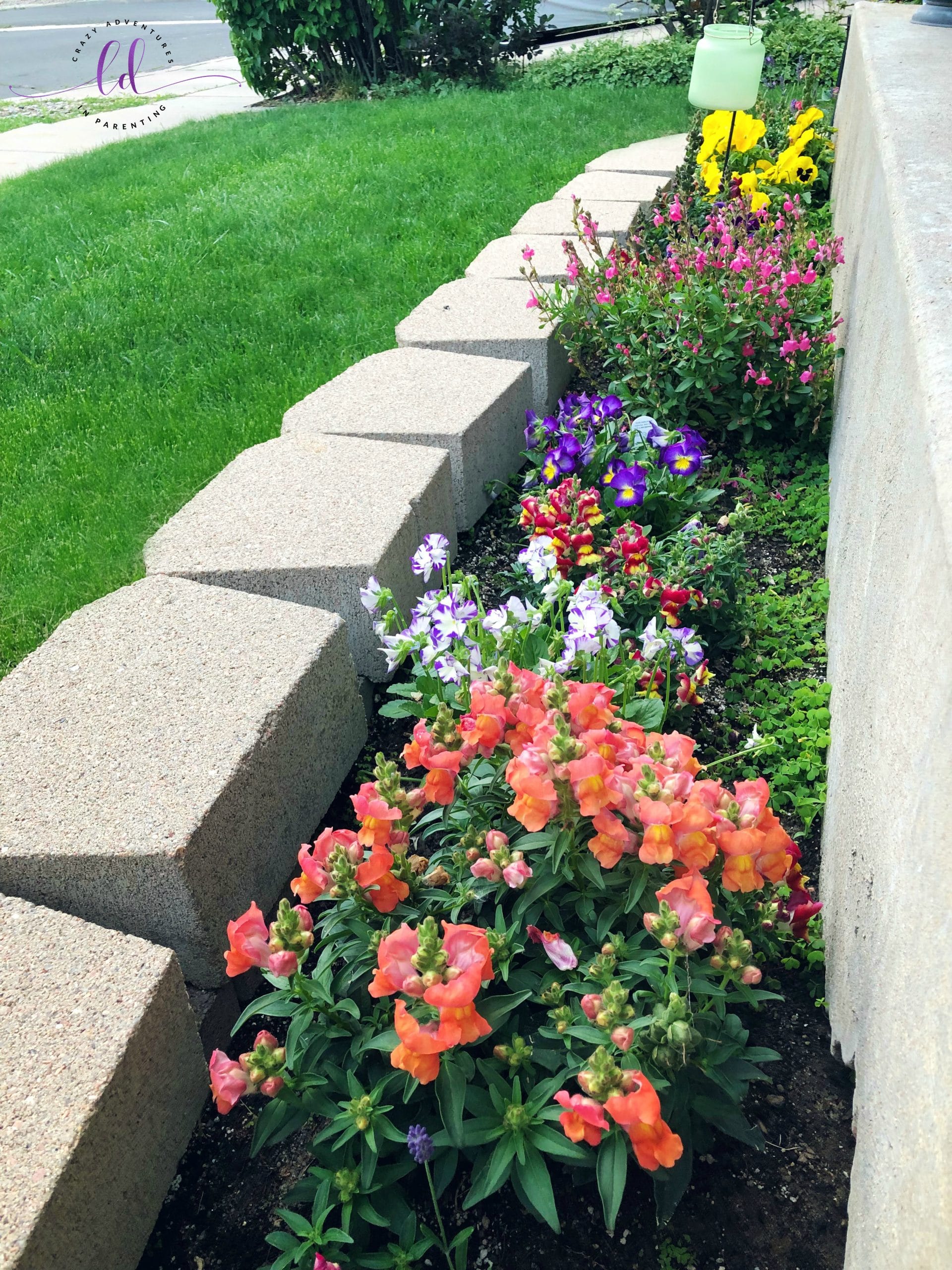 Watering Helps Beautify Your Landscapes