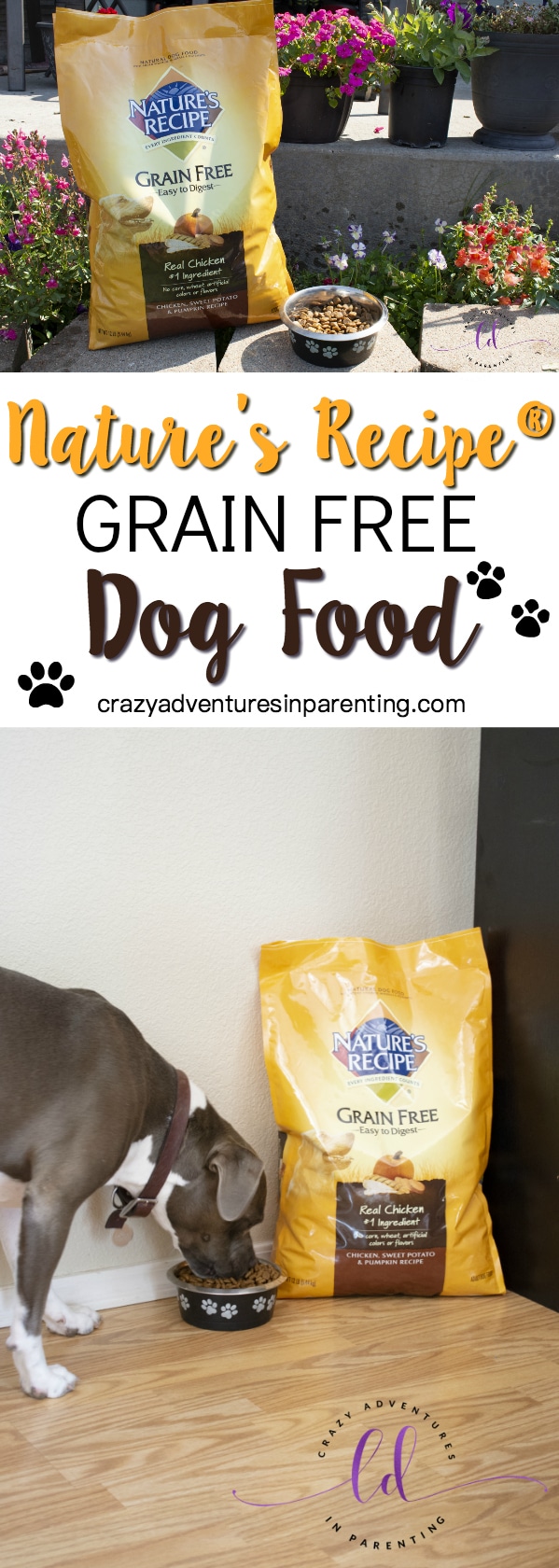 Nature's Recipe Grain Free Dog Food