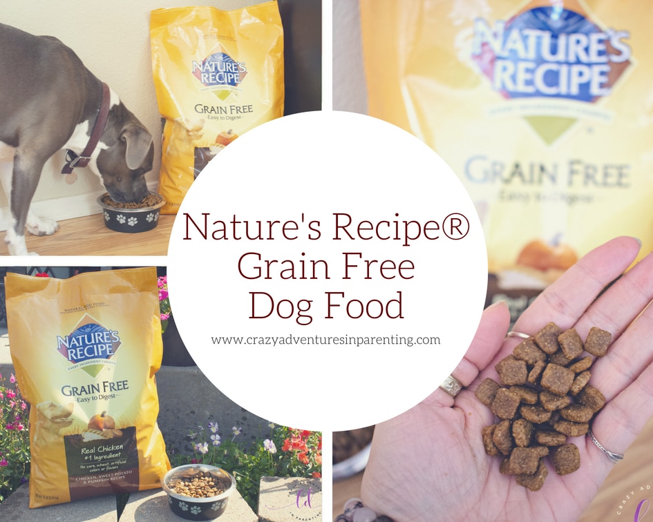 nature's recipe grain free puppy food