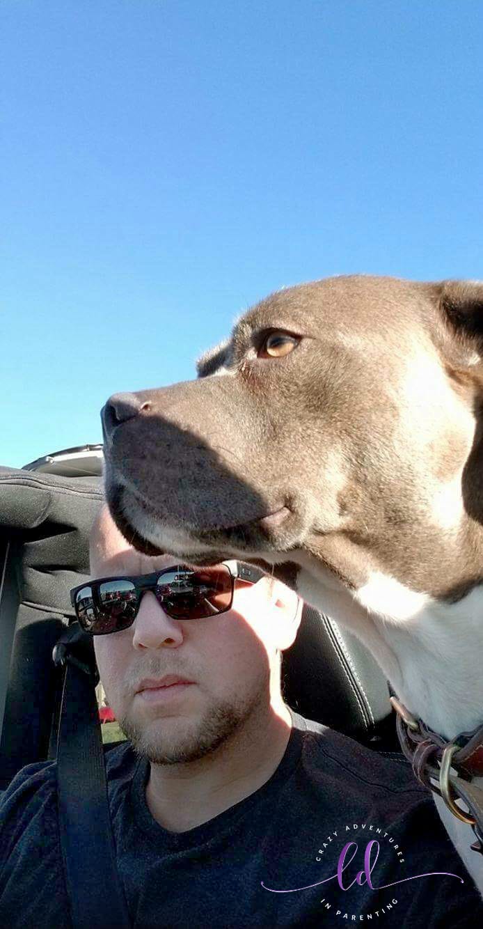 Top down in the Jeep