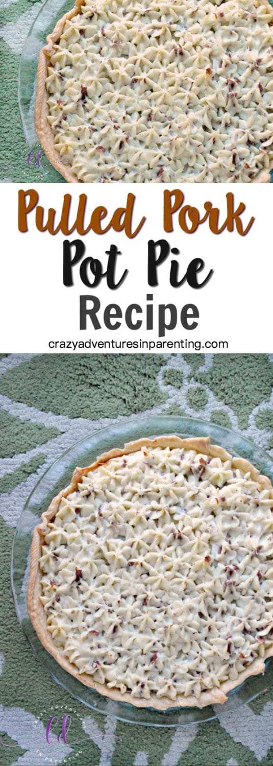 Pulled Pork Pot Pie with Mashed Potato Topping Crazy Adventures in