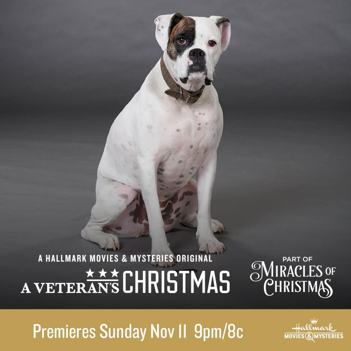 Hallmark Movies & Mysteries "A Veteran's Christmas" Premiering this