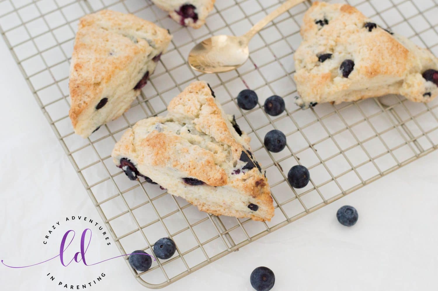 Blueberry Scones for Brunch