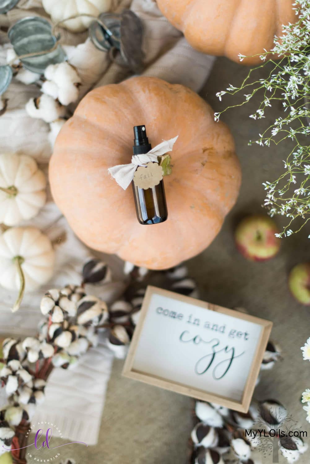 Autumn DIY Fall Spray Recipe