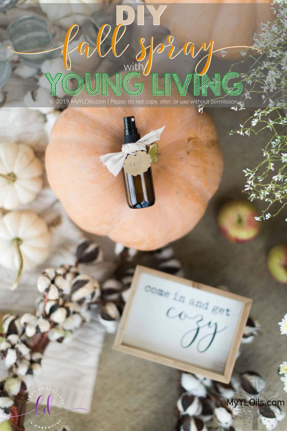 DIY Fall Spray with Young Living