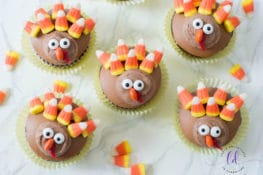 Turkey Cupcakes Recipe | Crazy Adventures in Parenting