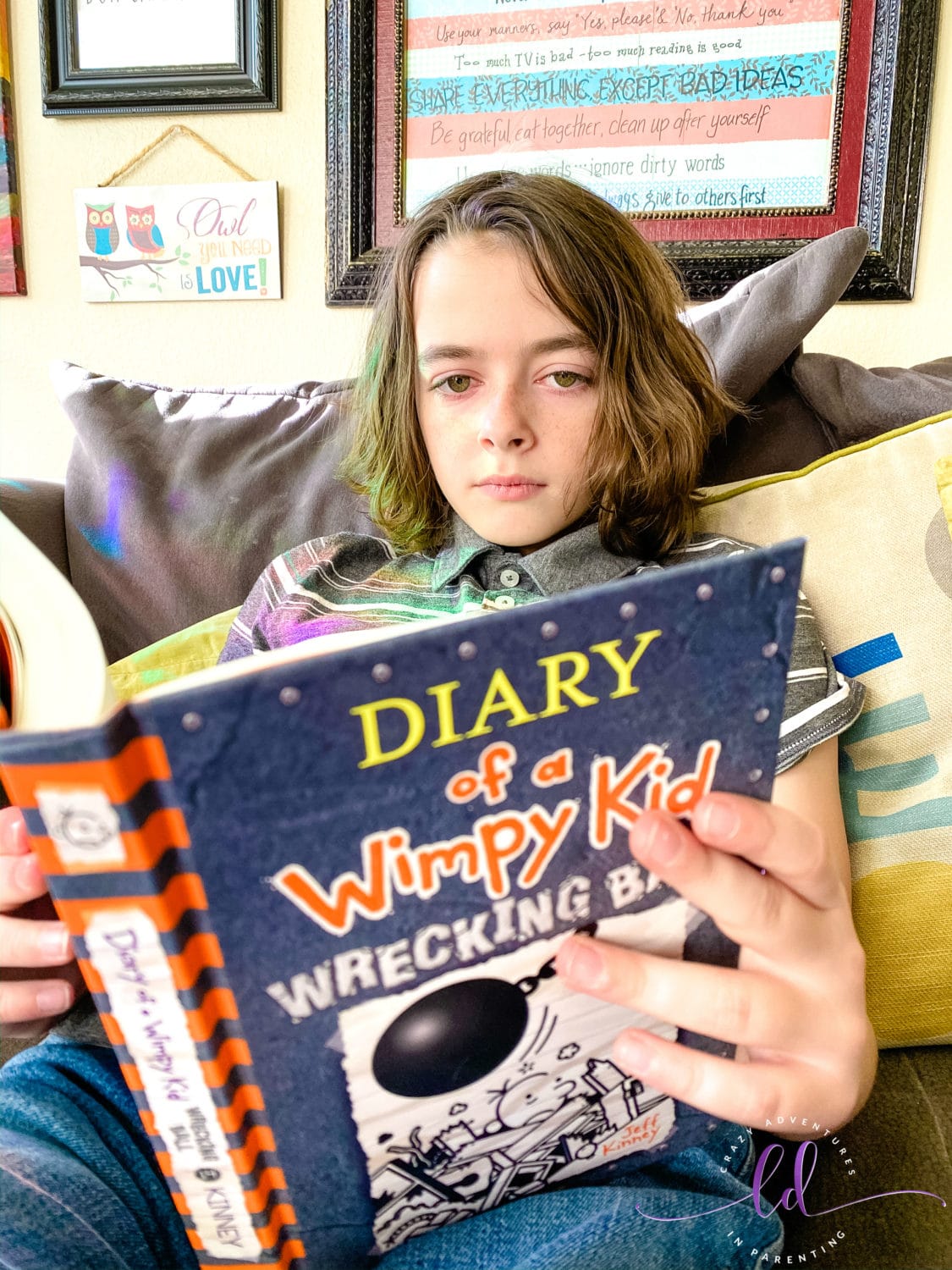 Big Fan of Diary of a Wimpy Kid Wrecking Ball Book 14