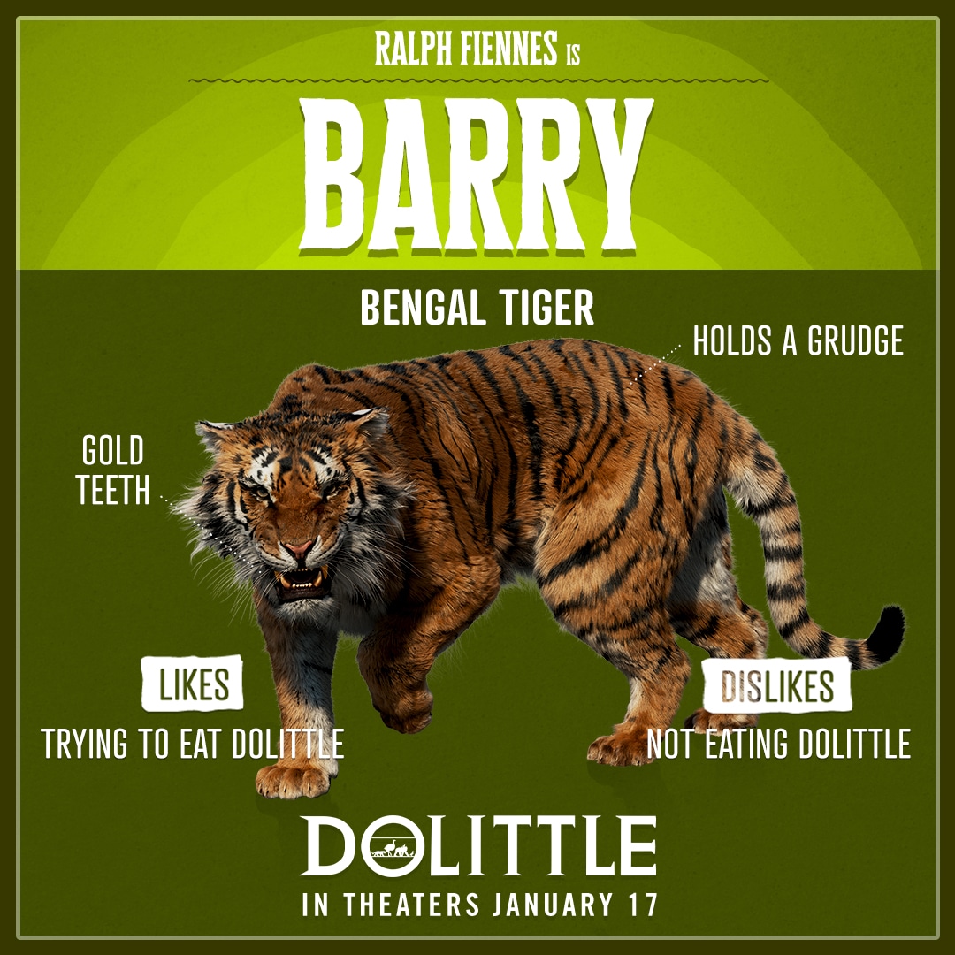Dolittle Animal Trading Cards Barry