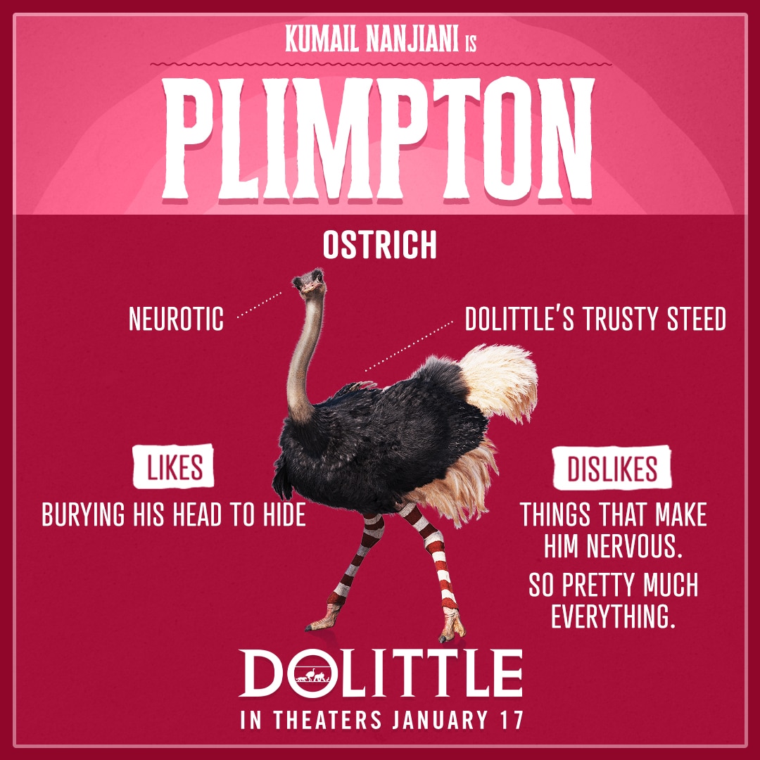 Dolittle Animal Trading Cards Plimpton