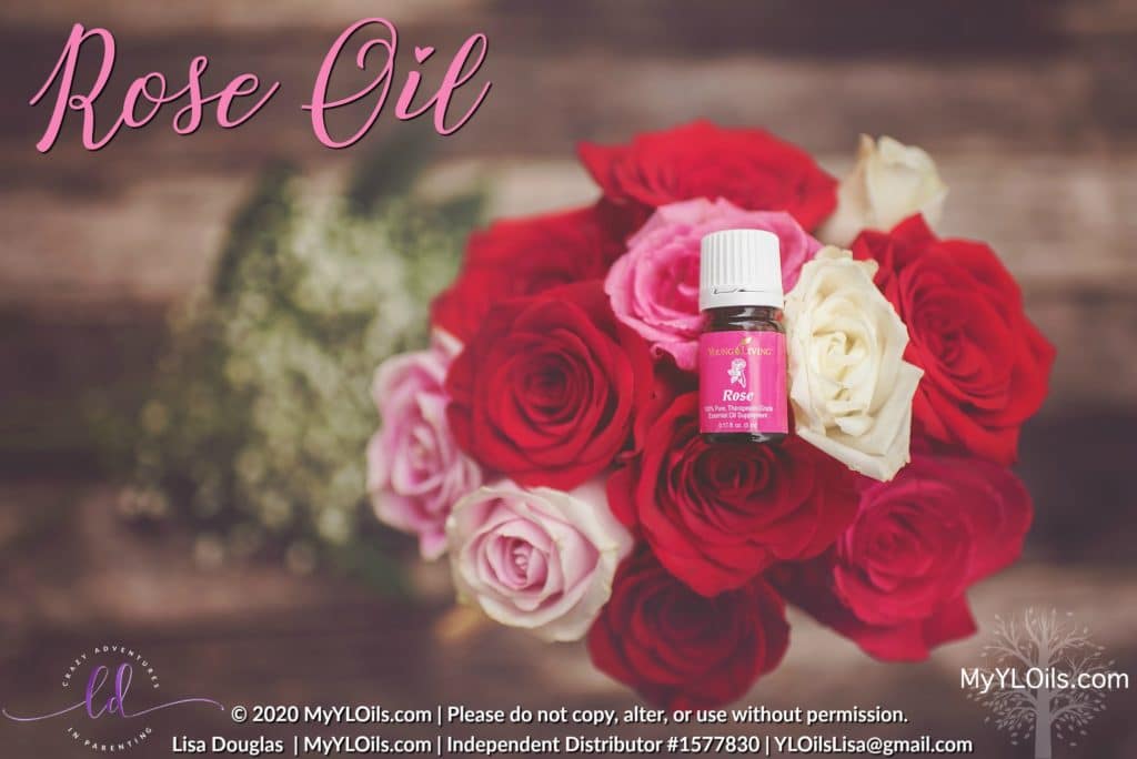 Rose Oil