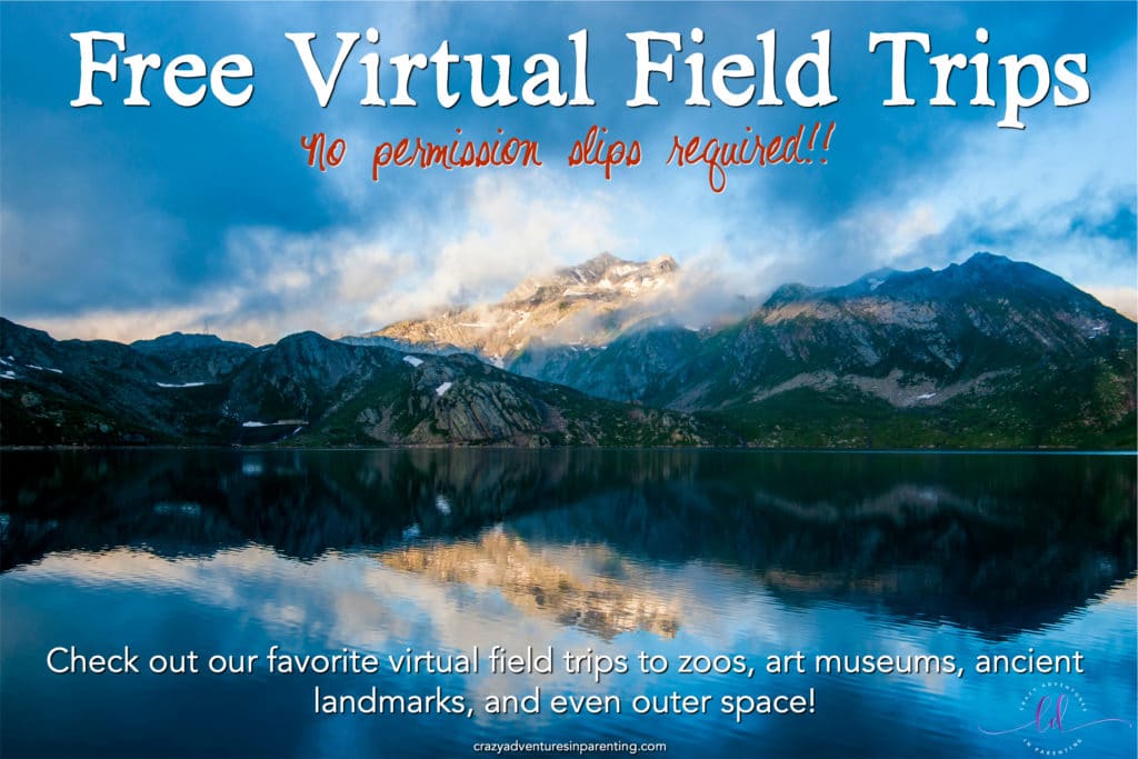 Free Virtual Field Trips