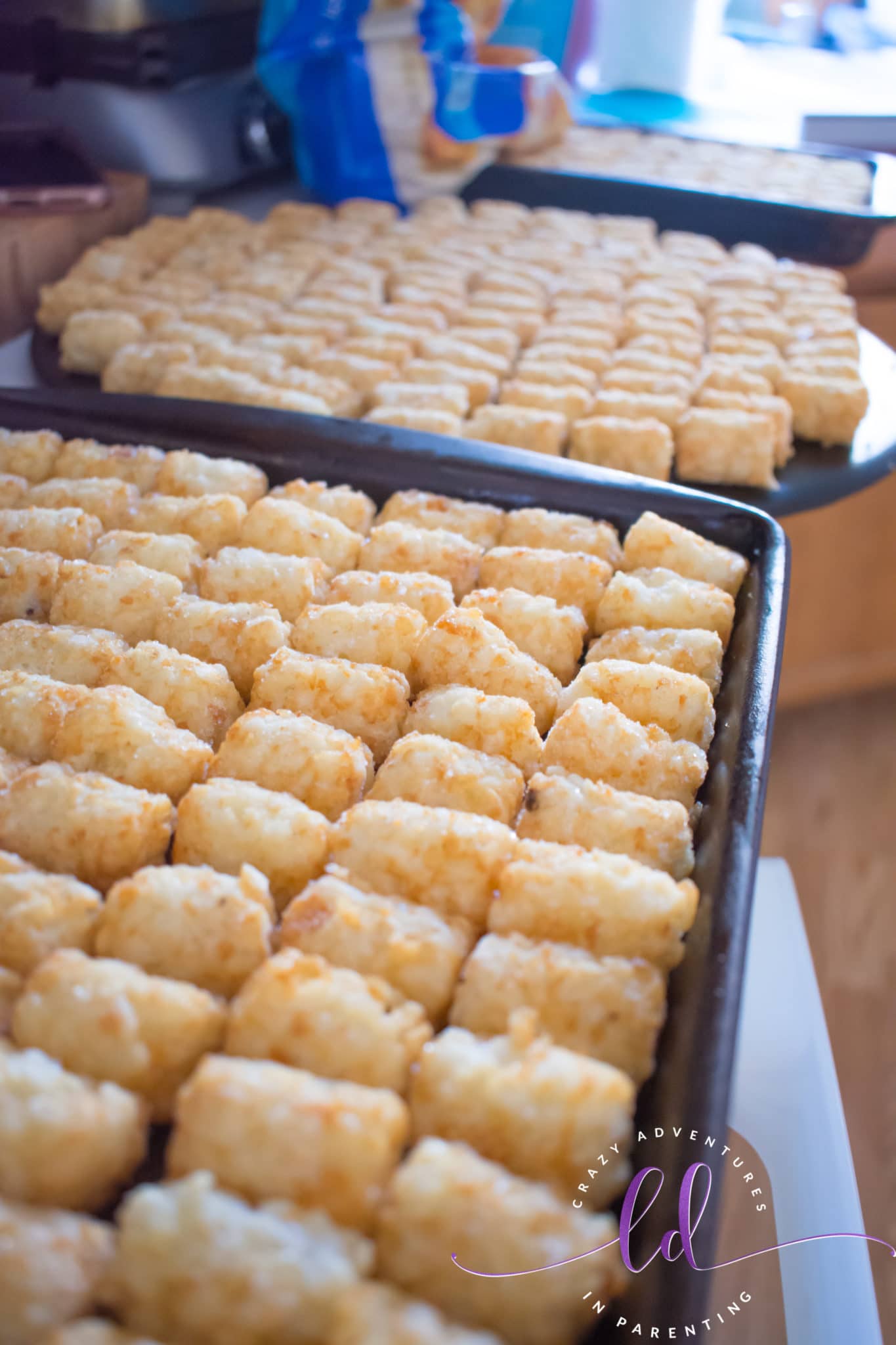 Tots Ready to Go in the Oven to Make Beef Totchos Tater Tot Nachos
