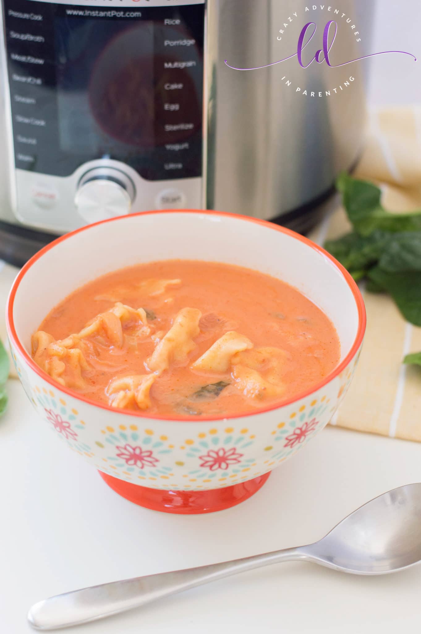 Simple Instant Pot Tortellini Soup Recipe