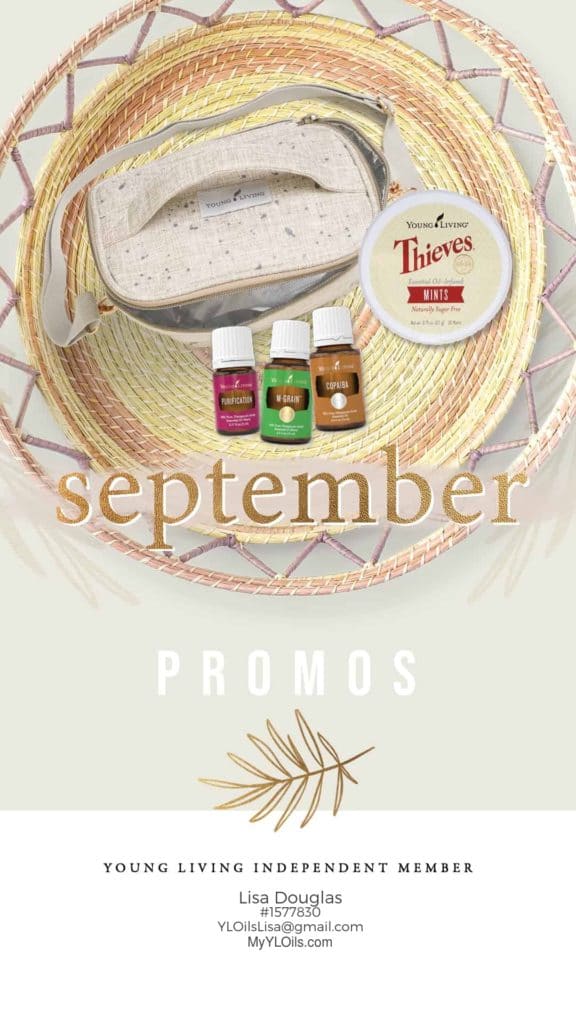 Young Living Promotions Crazy Adventures in Parenting