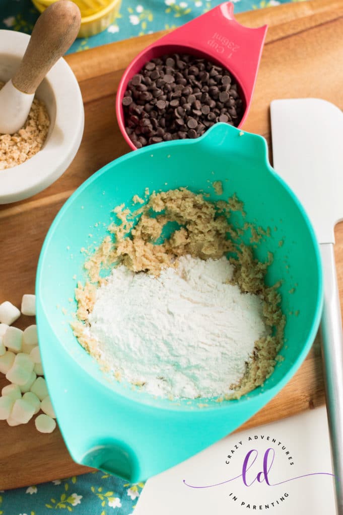 S'mores Cookie Dough Truffles Recipe | Crazy Adventures in Parenting