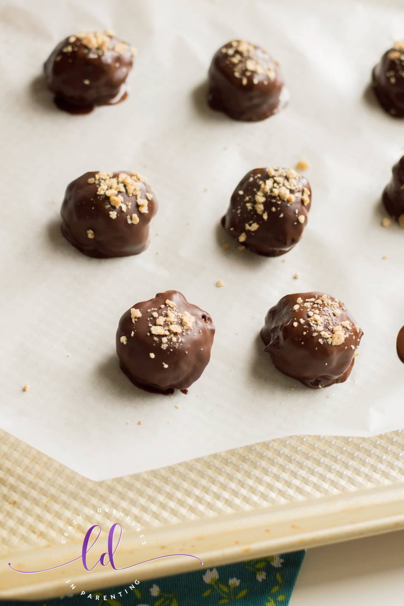 Top with Crushed Graham Crackers to Make S'mores Cookie Dough Truffles