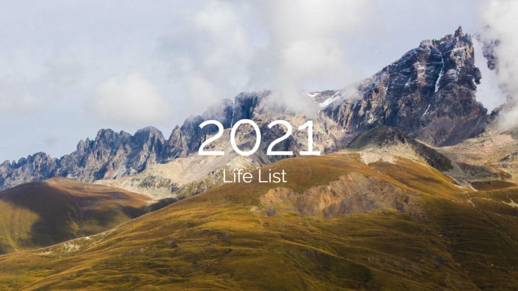 2021 Life List