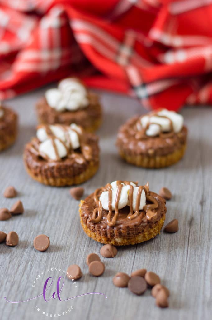 Delicious S'mores Mini Cheesecakes Recipe
